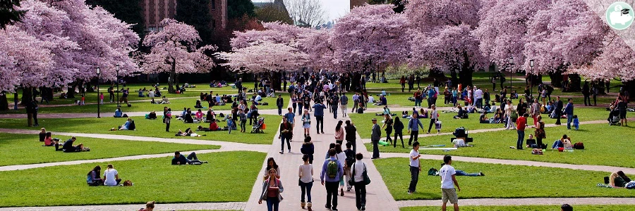 FAFSA Deadlines by State