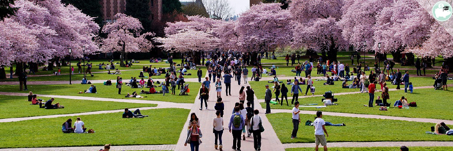 FAFSA Deadlines by State